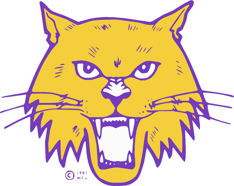 Western Carolina Catamounts 1981-1996 Secondary Logo diy DTF decal sticker